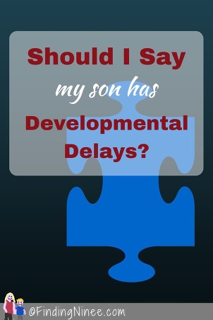 Should I Say My Son has Developmental Delays?