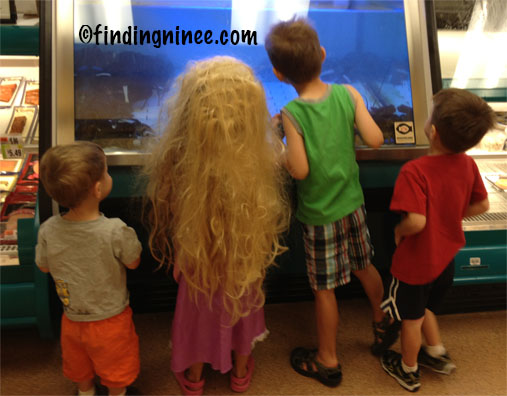 Four Siblings Looking at a Lobster Tank - Sister Wearing her Rapunzel Costume.