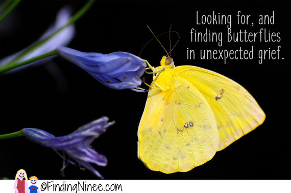Unexpected Grief and Watergun and Butterfly Magic