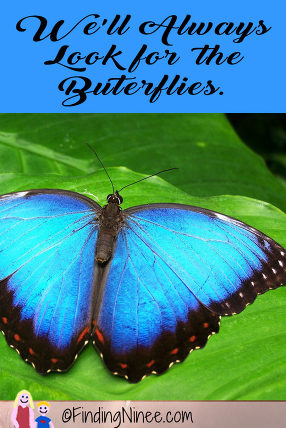 look for the butterflies